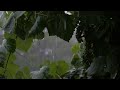 Relaxing rain on leaves sounds