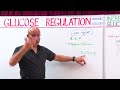 Normal Blood Glucose | Hyperglycemia | Hypoglycemia | Diabetes Mellitus🧑🏻‍⚕️