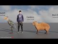 Animal Size comparison 3D (200+ Animals)