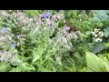 Planting an ecosystem in your garden!