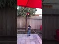 Piñata game