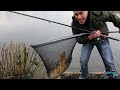 How to catch Carp with Prawns - The Totally Awesome Fishing Show