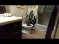 My cat using the toilet !
