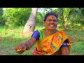 FRESH !! IVY Gourd Fry | Kovakkai Poriyal | Veg Village Food Cooking in Village | Side Dish Recipes