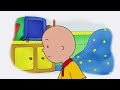 Baby Truck | Caillou | Cartoons for Kids | WildBrain Little Jobs