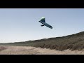 13th beach hang gliding