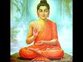 If you want to change your life than watch this Buddha quotes