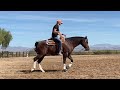 Teach your horse how to handle his emotions while teaching your body to react correctly!  “Now”