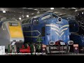 Class 55 Deltic - The Racehorses