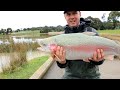 Melbourne Trout Fishing | How to catch a Giant Metro Stonker