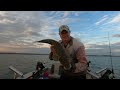 Flathead, Flounder and Squid Lake Macquarie NSW