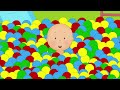 Hot Sauce | Caillou | Cartoons For Kids | WildBrain Kids