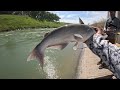 The SPILLWAY BEAST Almost Ripped My Rod In!!! (Surprise MONSTER)