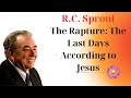 What Is Evil & Where Did It Come From?- Sermon by R.C. Sproul