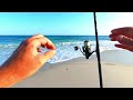 Catch Dinner In Seconds With Sand Fleas: Beginner Surf Fishing Tips For 2024