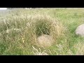 A small circle we visited near Oddendale, Shap, Cumbria. I can't find any info on it.