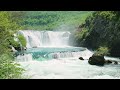 Enjoy Relaxing Music Reduce Stress 🌿Soothing Music Refreshes Soul and Mental Health