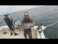 Trolling Lake Ontario KING & COHO Salmon Fishing  - TRIPLES & DOUBLES  #fishing #fishingvideo
