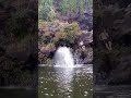 Cliff diving Maui (Seven sacred pools - Road to Hana)