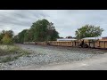 NORFOLK SOUTHERN Single Stack Intermodal Heading Towards Pittsburgh | Sebring, Ohio | Railfanning