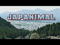 Exploring Japan's Countryside | Kumamoto | Takamori Tunnel Park