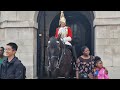 So much disrespect even the horse noticed guard tells tourist to move back #horseguardsparade