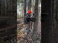 How to use a Summit climbing treestand