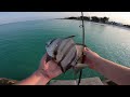 Fishing Off The Beach & Jetties In Anna Maria Island, Florida! Multi-Species Action!!