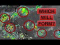 Which Disturbance will become Tropical Storm Francine first?