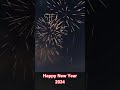 Happy New Year 2024! #shortvideo