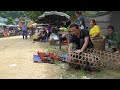 Record 5 minutes sold out all wild chickens to tourists at the market, Vàng Hoa