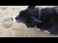 Embleton Beach Walk