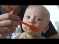 Baby’s First Food - The Complete Guide to Starting Solids