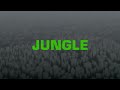 The Blaze x Endel - JUNGLE (Sleep Soundscape)