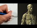 Anatomy Study:  The NECK Part 1