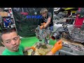SR20 Engine Breakdown: Part 1 Exposing Troubling Discoveries