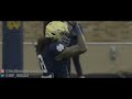 Notre Dame LB Marist Liufau Highlights 🍀 ᴴᴰ