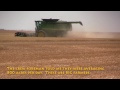 Oklahoma Wheat Harvest 2011  Texas County