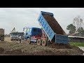 Amazing Stronger Heavy Equipment Bulldozer Pushing Dirt and Dump Truck Unloading Dirt Filling Lake