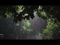 Fall Asleep Easily in 3 Minutes with Heavy Rain & Massive Thunder on Tin Roof at Night  White Noise