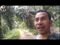 BERBURU TUPAI SPOT BARU JINAK JINAK😱#tupai #hunting #pcp #trending #fyp #viral