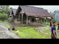 Walk in Heavy Rain and the Beautiful Sound of Thunder in Village Life | Rain Sounds For sleeping
