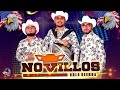 NOVILLOS DE LA SIERRA MIX 💥 Puros Corridos Exitos 💥  Puros Corridos Mix 2k24