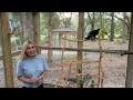 OUR DREAM AVIARY IS FINISHED!