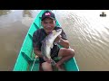 Pemancing Ini Berhasil Mendapatkan Ikan Toman Sebesar Bayi Kudanil ‼️