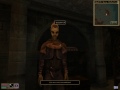 How to Morrowind: Alchemy