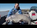 MASSIVE Catfish in Just 2 Feet!! (One of My Biggest EVER!)