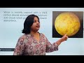 MCQs on Solar System | Solar System Important Questions | Geography By Parcham Classes
