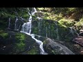 Very Noisy Natural Waterfall Sound and Flowing Water Sound | Power of Ambience Nature Sounds