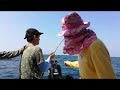 Sailfish Fighting Kuala Rompin (indo-pacific sailfish)